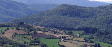 The surroundings
